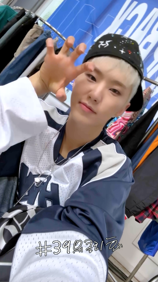 猫☆Hoshitam☆014 Multimedia de SEVENTEEN de Weverse - [HOSHI TAMTAM] 위클리 호시#39