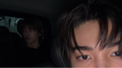 골디