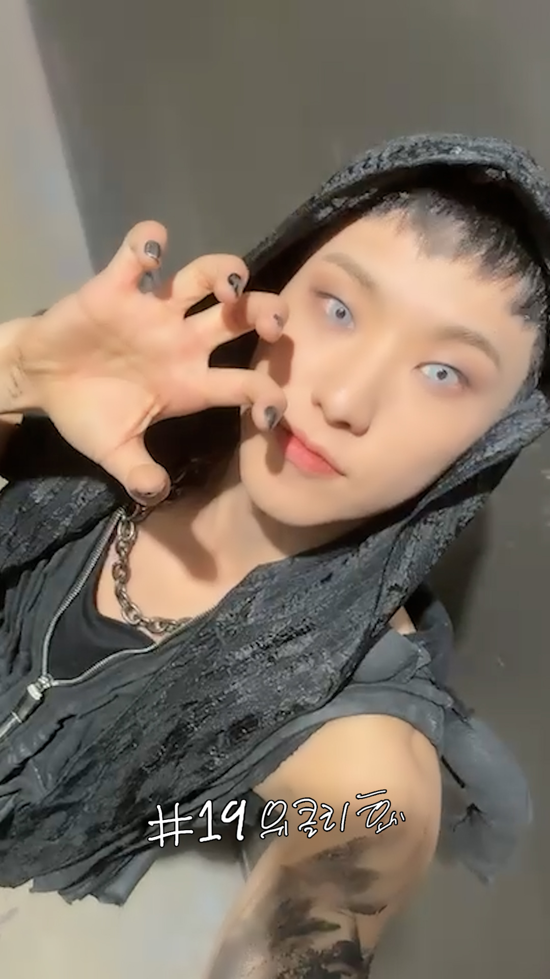 Weverse SEVENTEEN Media - [HOSHI TAMTAM] 위클리 호시#19