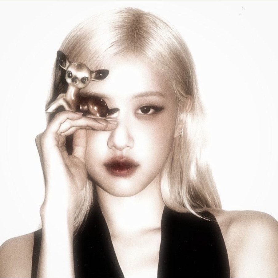 BLACKPINK Community Post - 𓏲 ࣪˖ 📜 ᥣі᥎іᥒg іᥒ ᥲ ᥎іᥒ𝗍ᥲgᥱ ძᥲᥡძrᥱᥲm ⋆ ᥕrᥲ ...