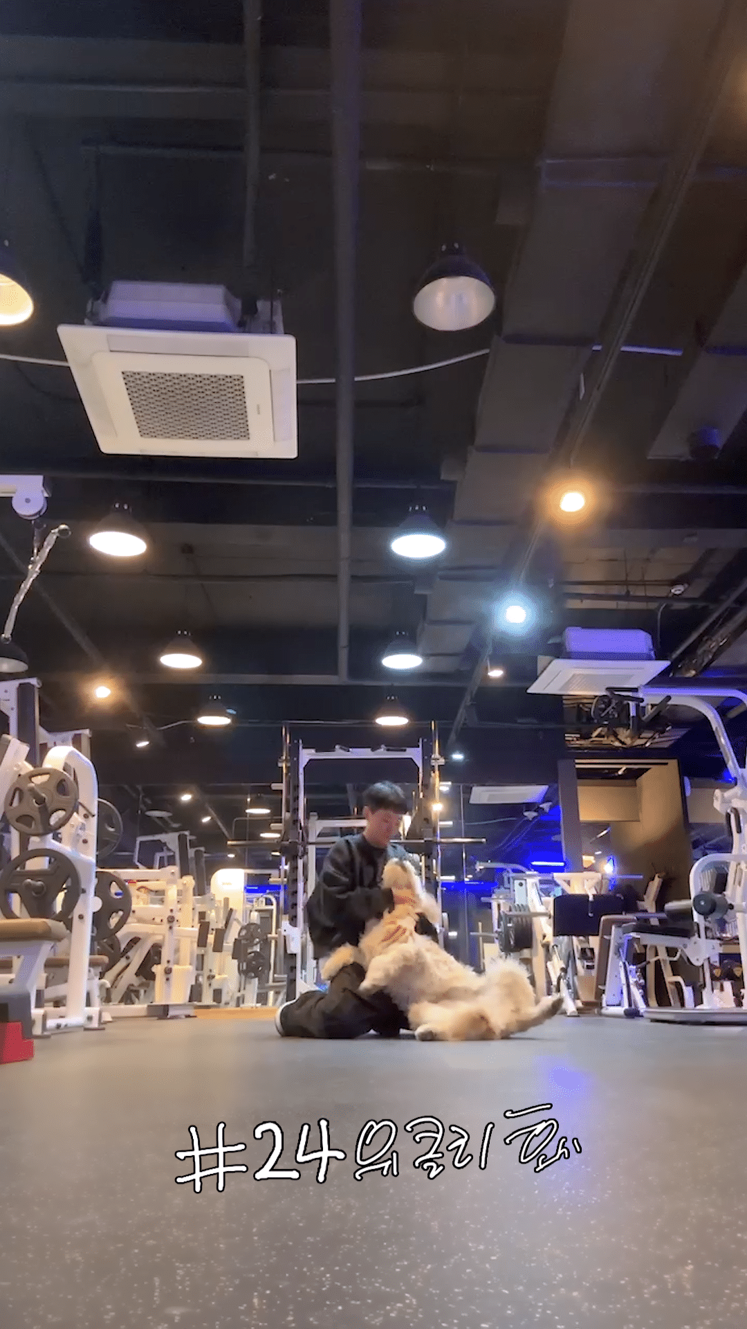 Weverse SEVENTEEN Media - [HOSHI TAMTAM]
