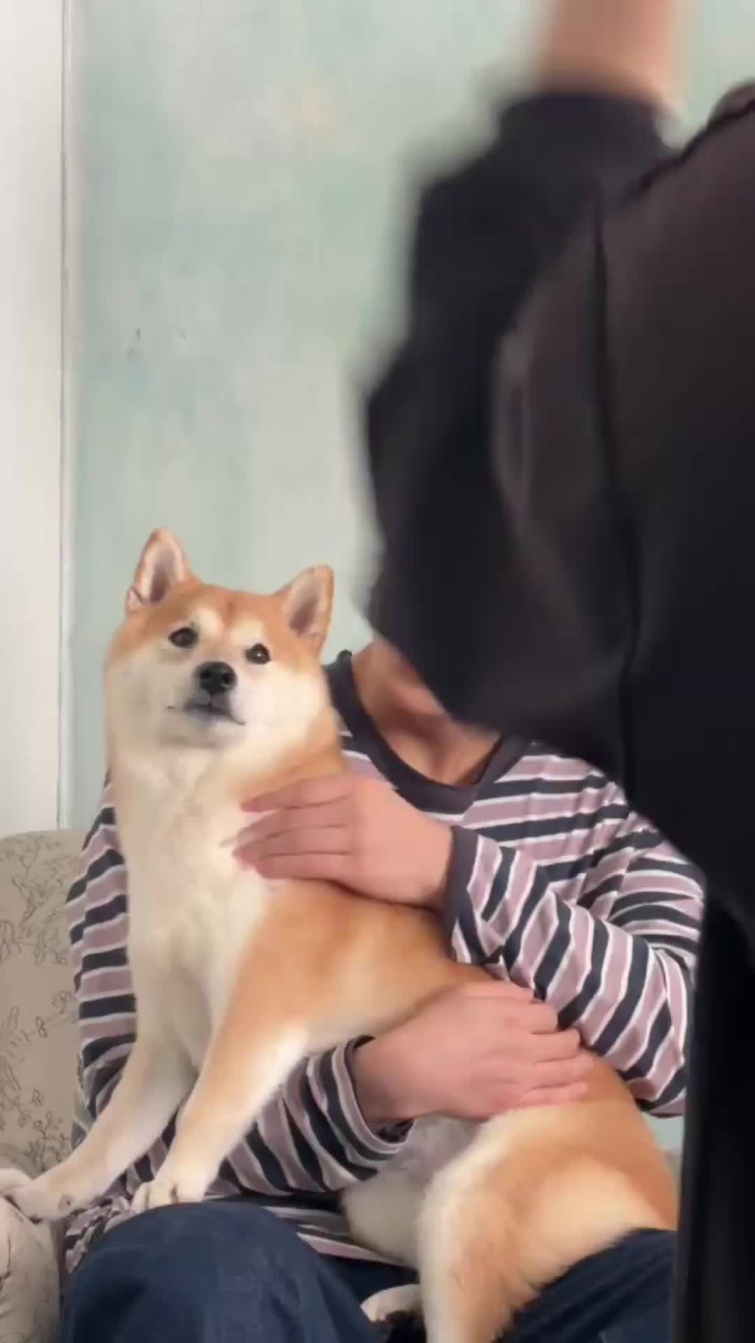 &TEAM Community Post - 🐶 - TAKI